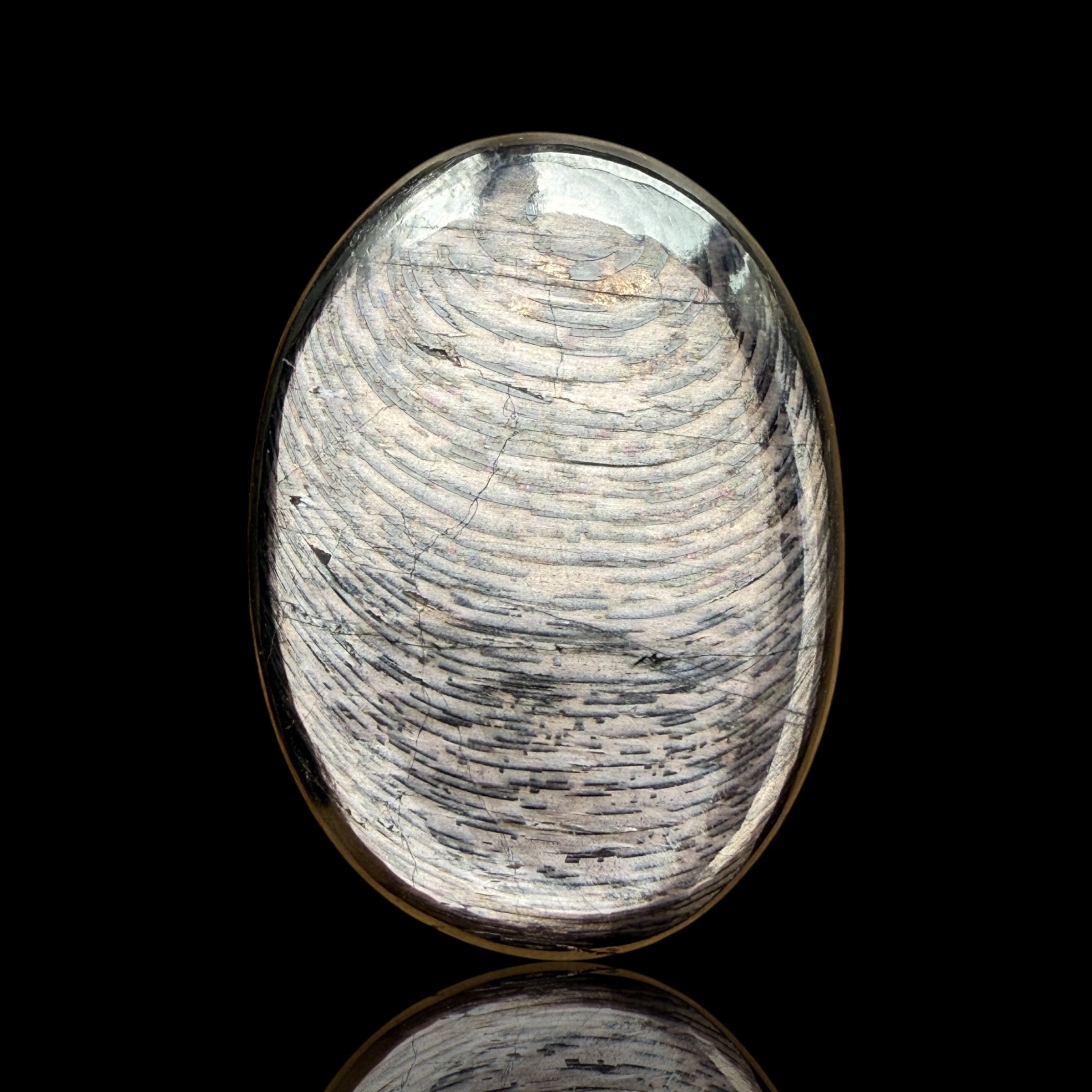 Cabochon Hypersthène