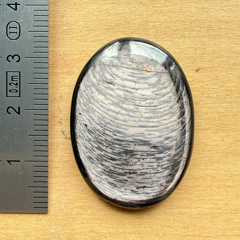 Cabochon Hypersthène