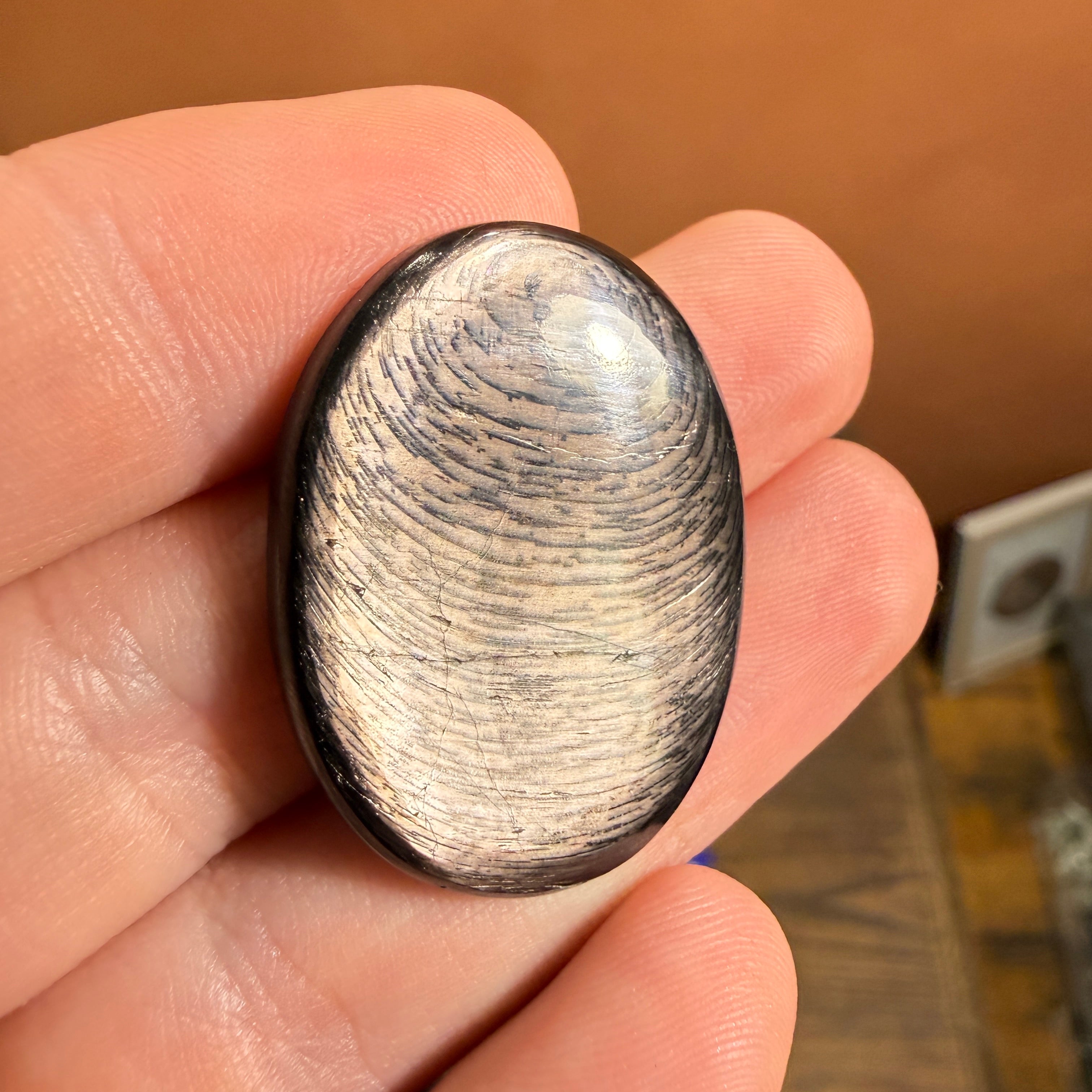 Cabochon Hypersthène