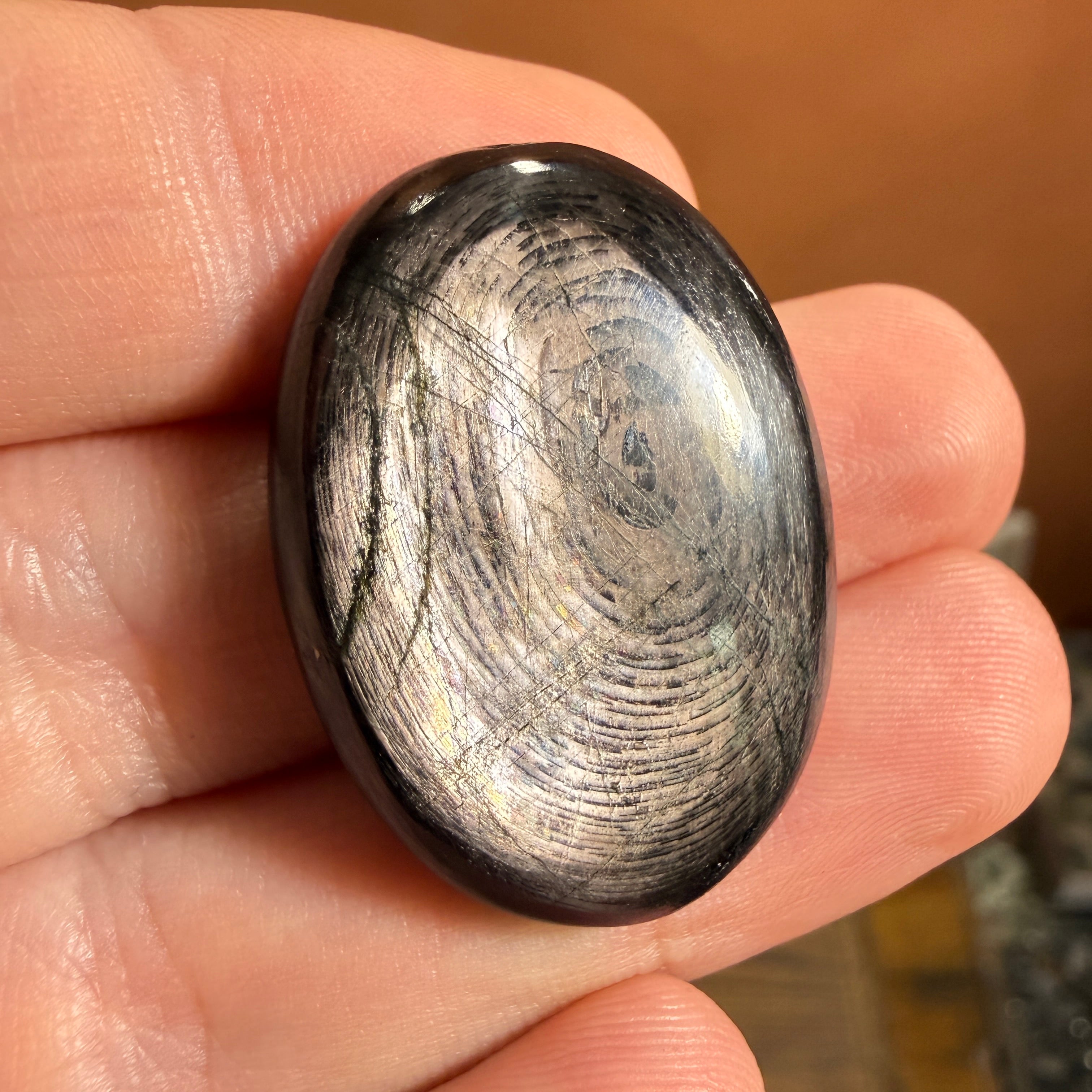 Cabochon Hypersthène