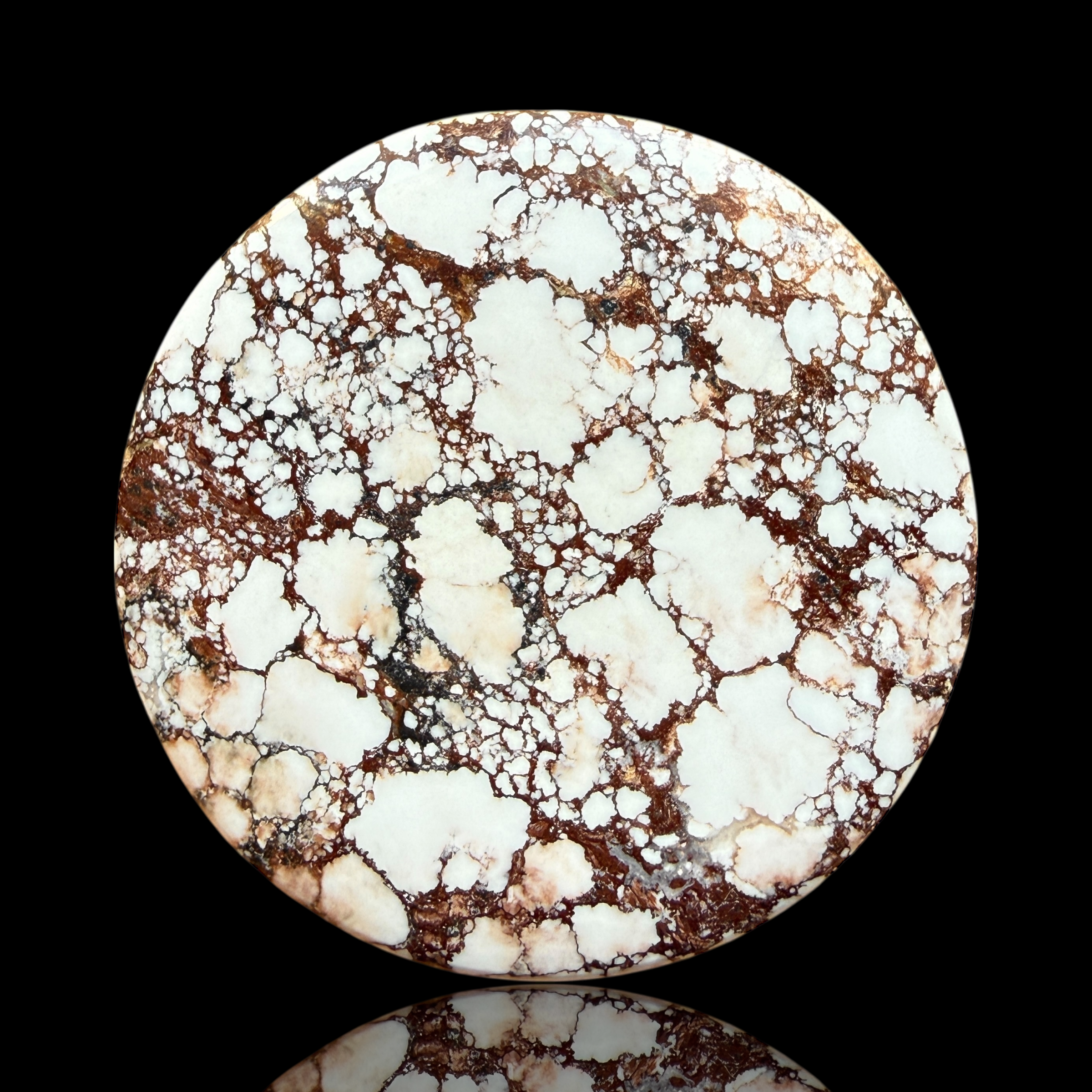 Cabochon Magnesite Wild Horse
