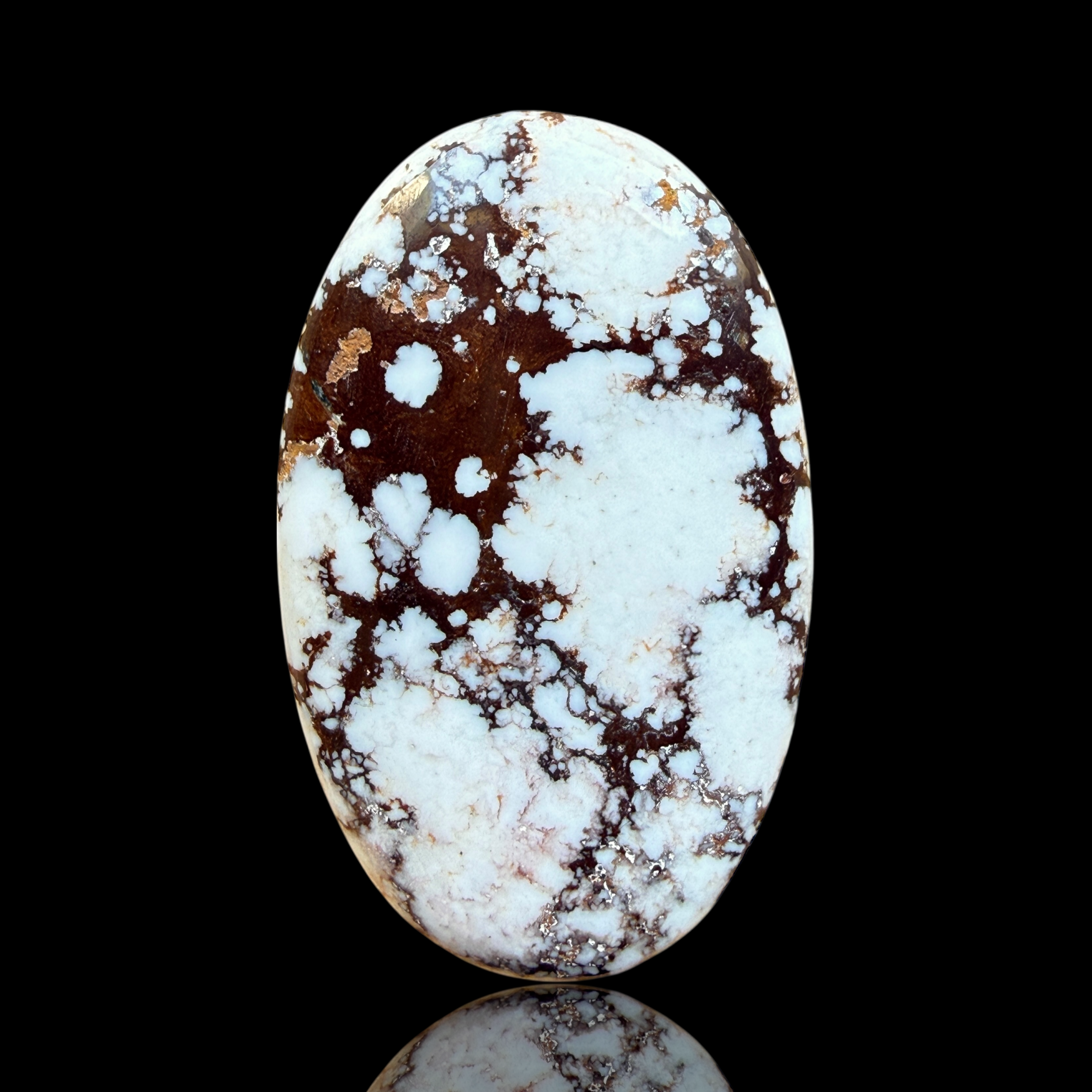 Cabochon Magnesite Wild Horse