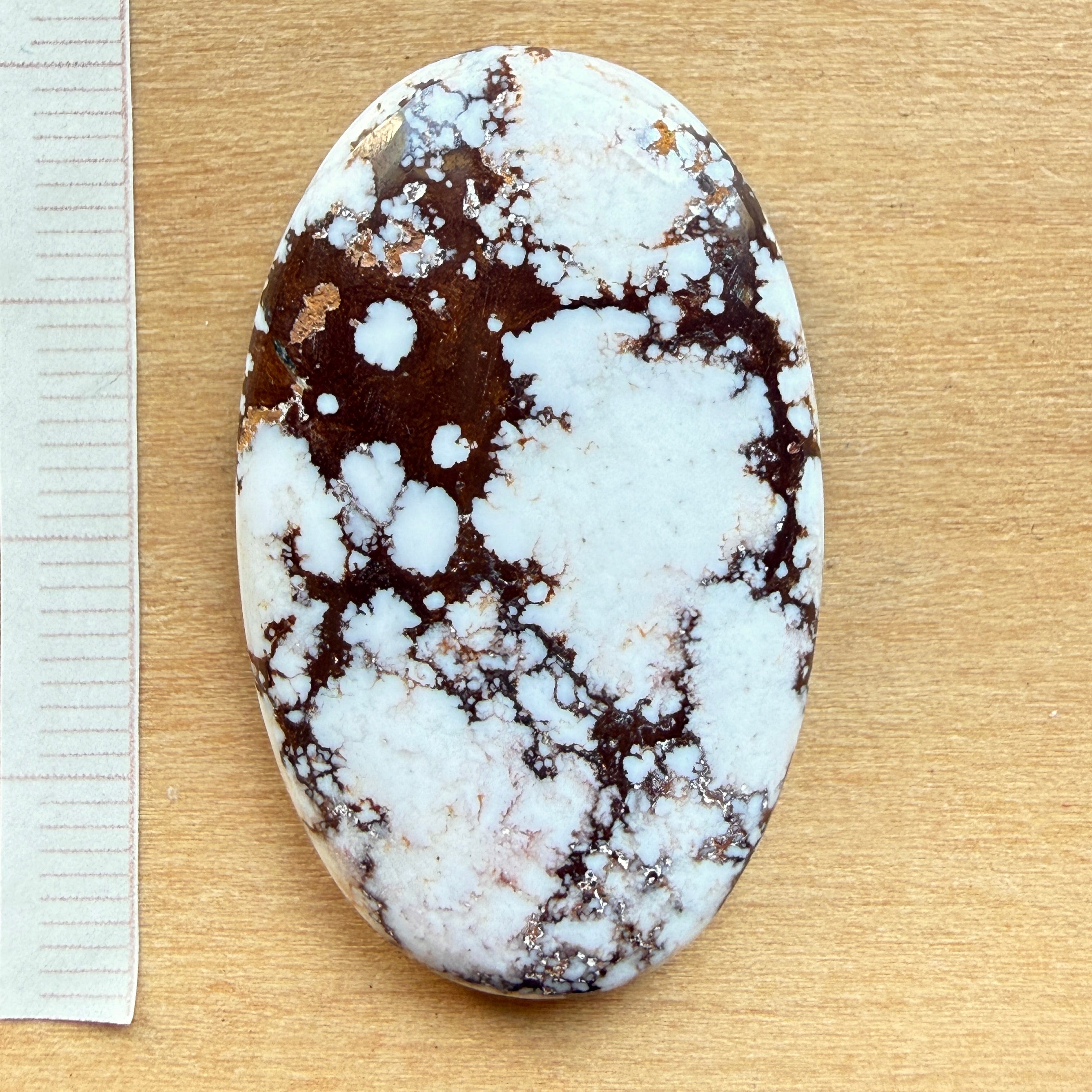 Cabochon Magnesite Wild Horse