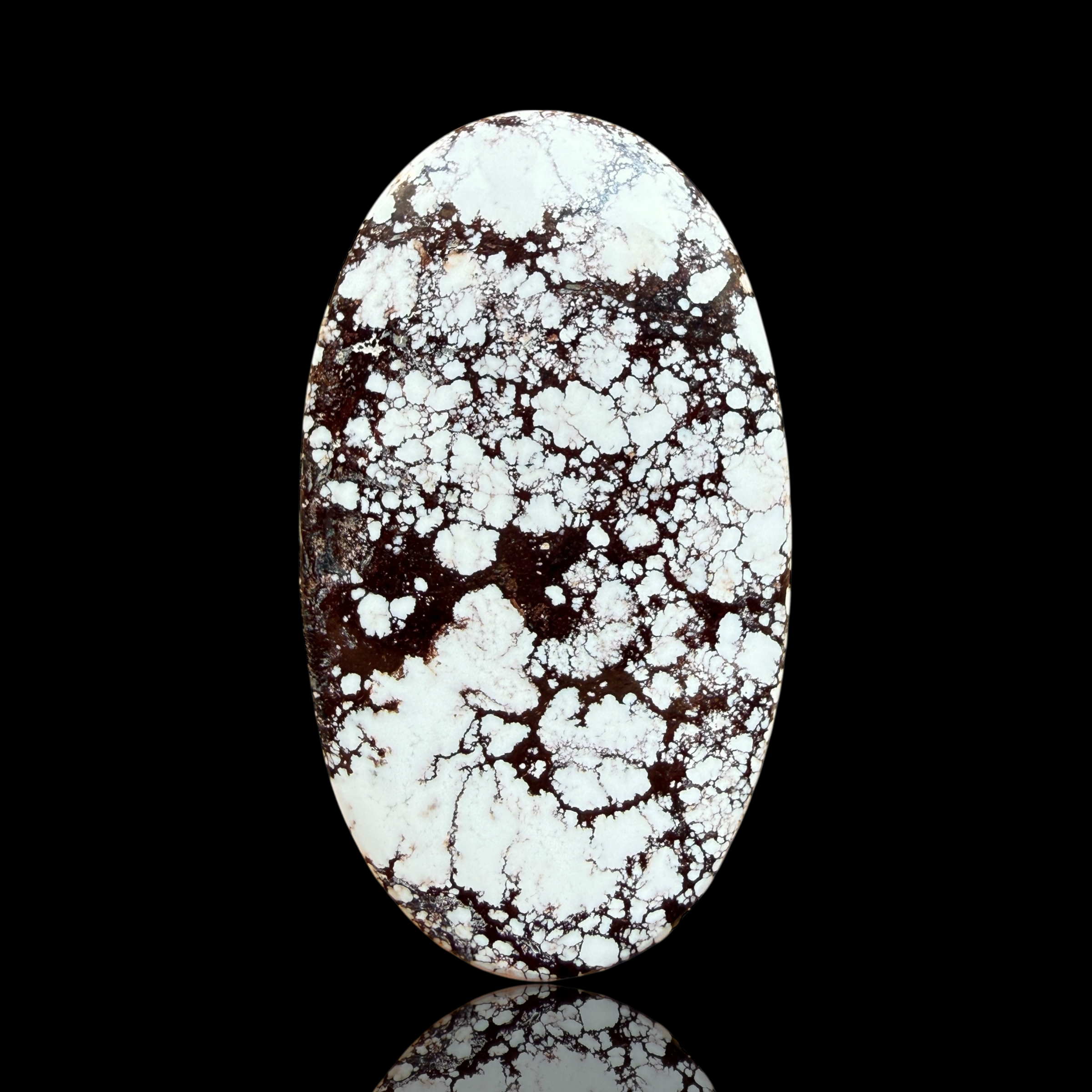 Cabochon Magnesite Wild Horse
