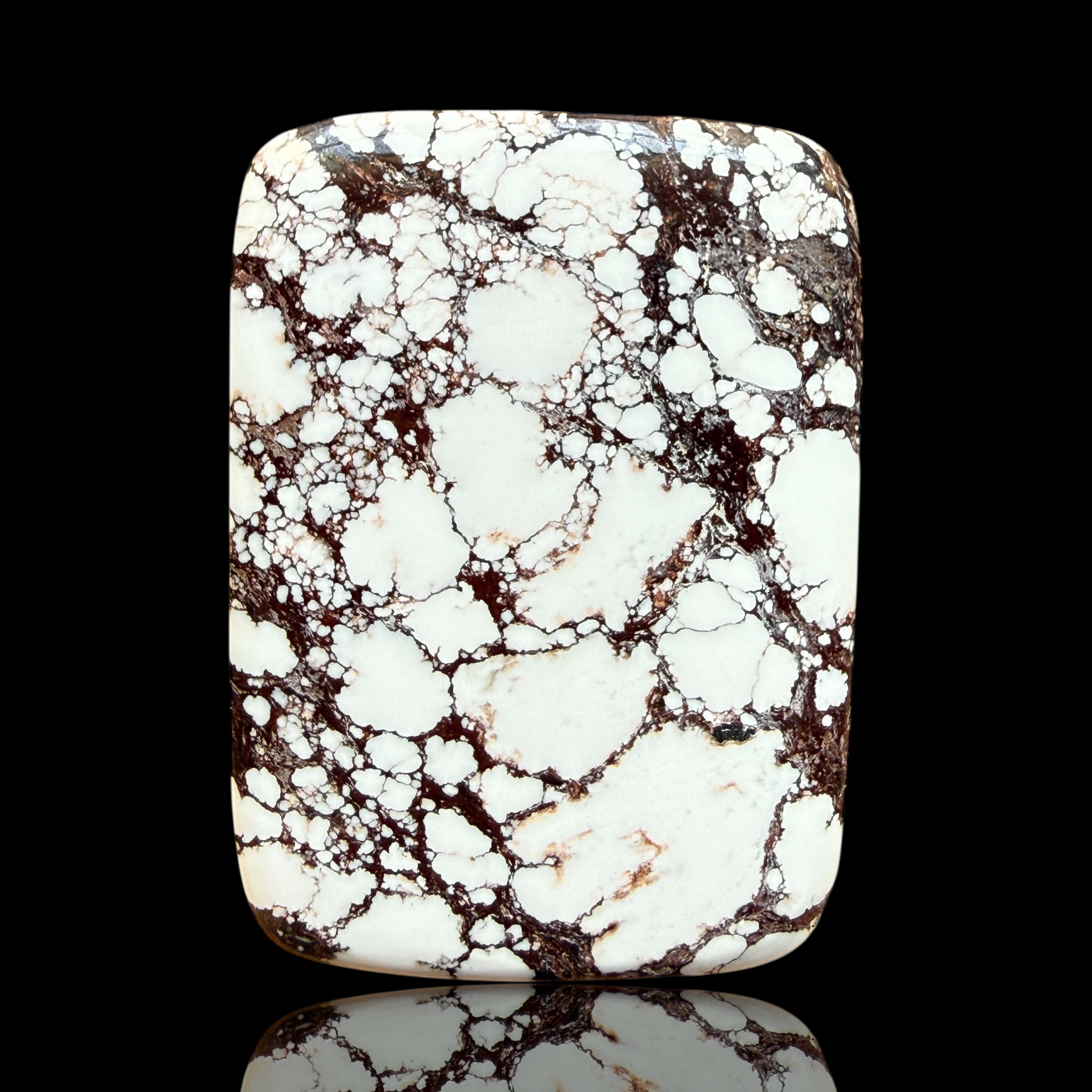 Cabochon Magnesite Wild Horse