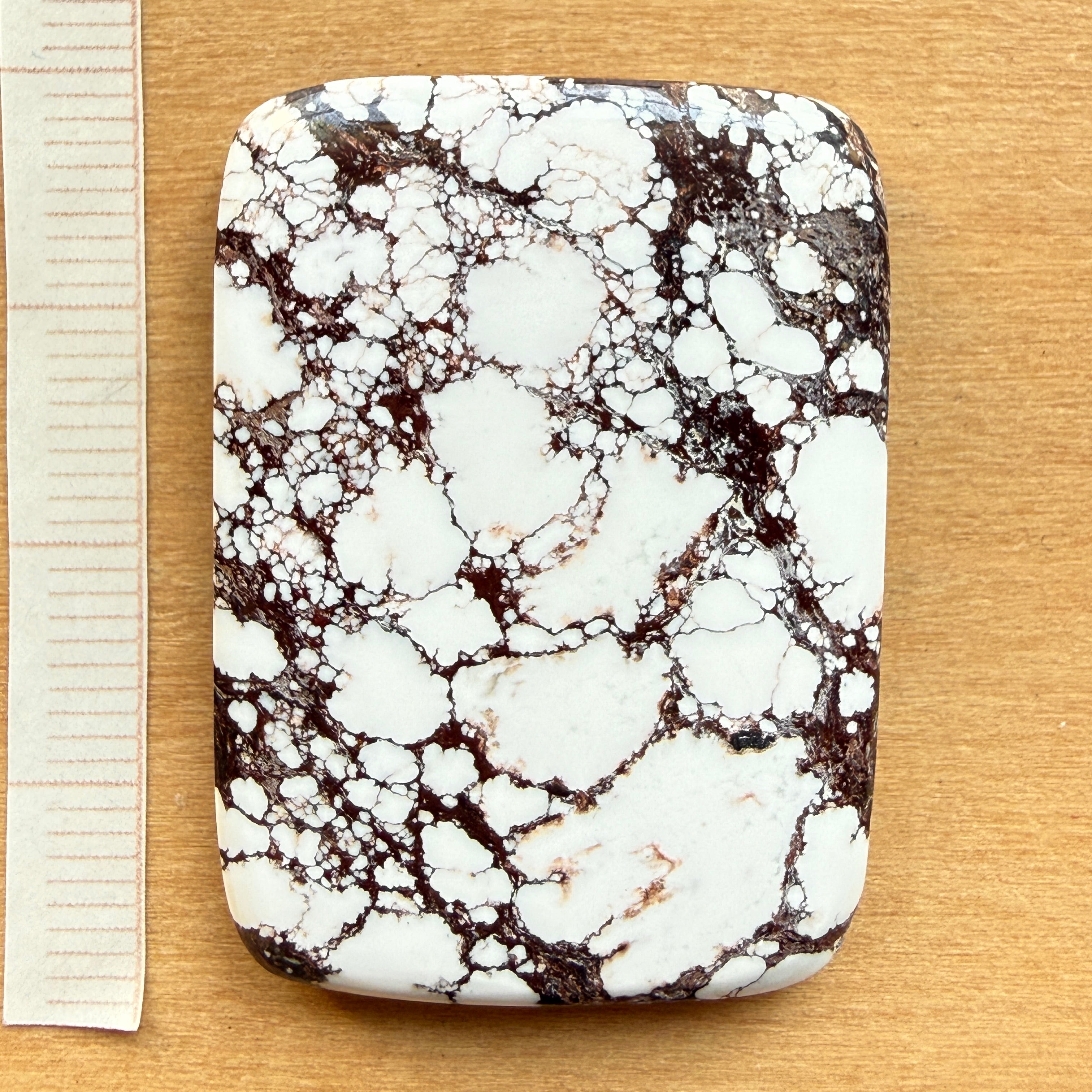 Cabochon Magnesite Wild Horse