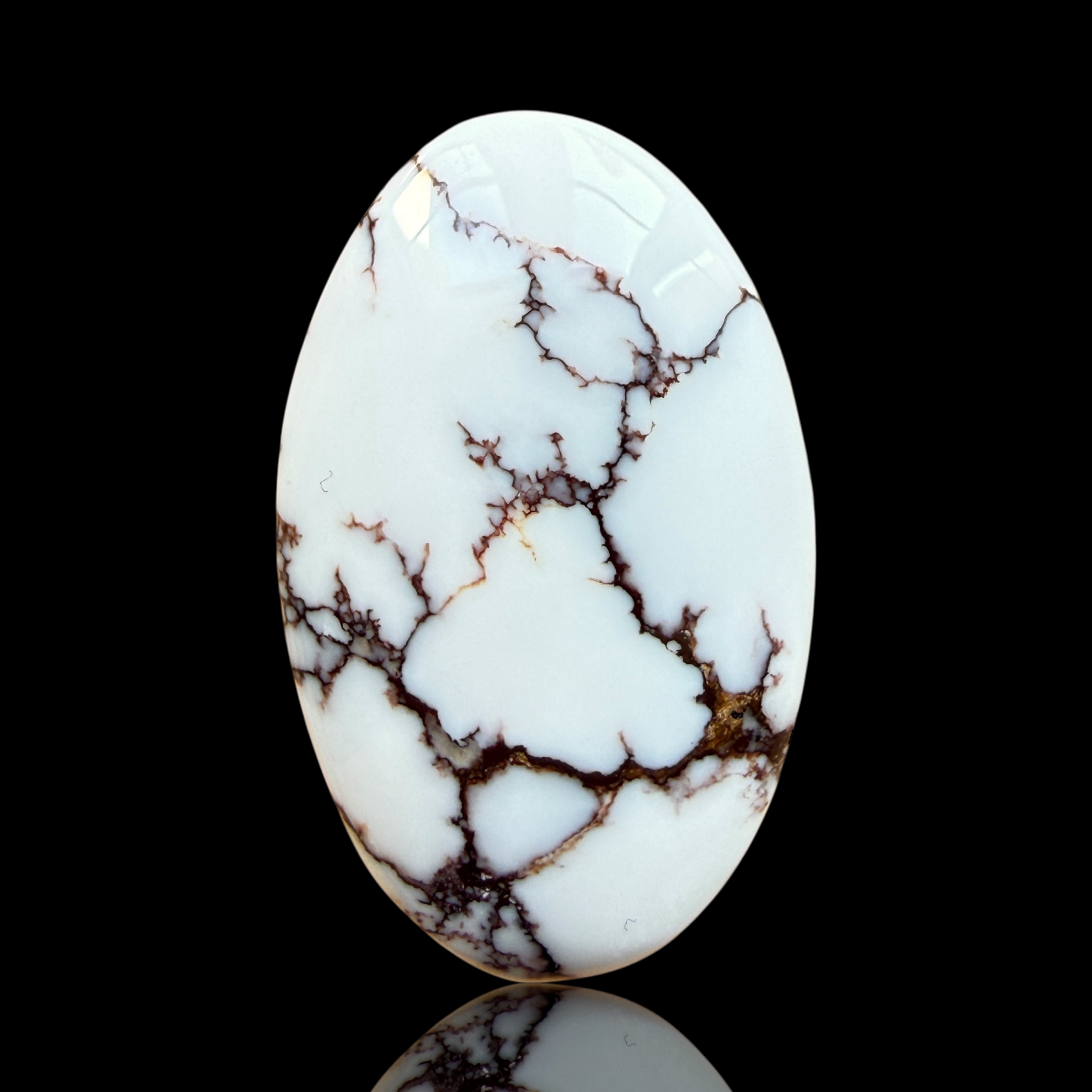 Cabochon Magnesite Wild Horse