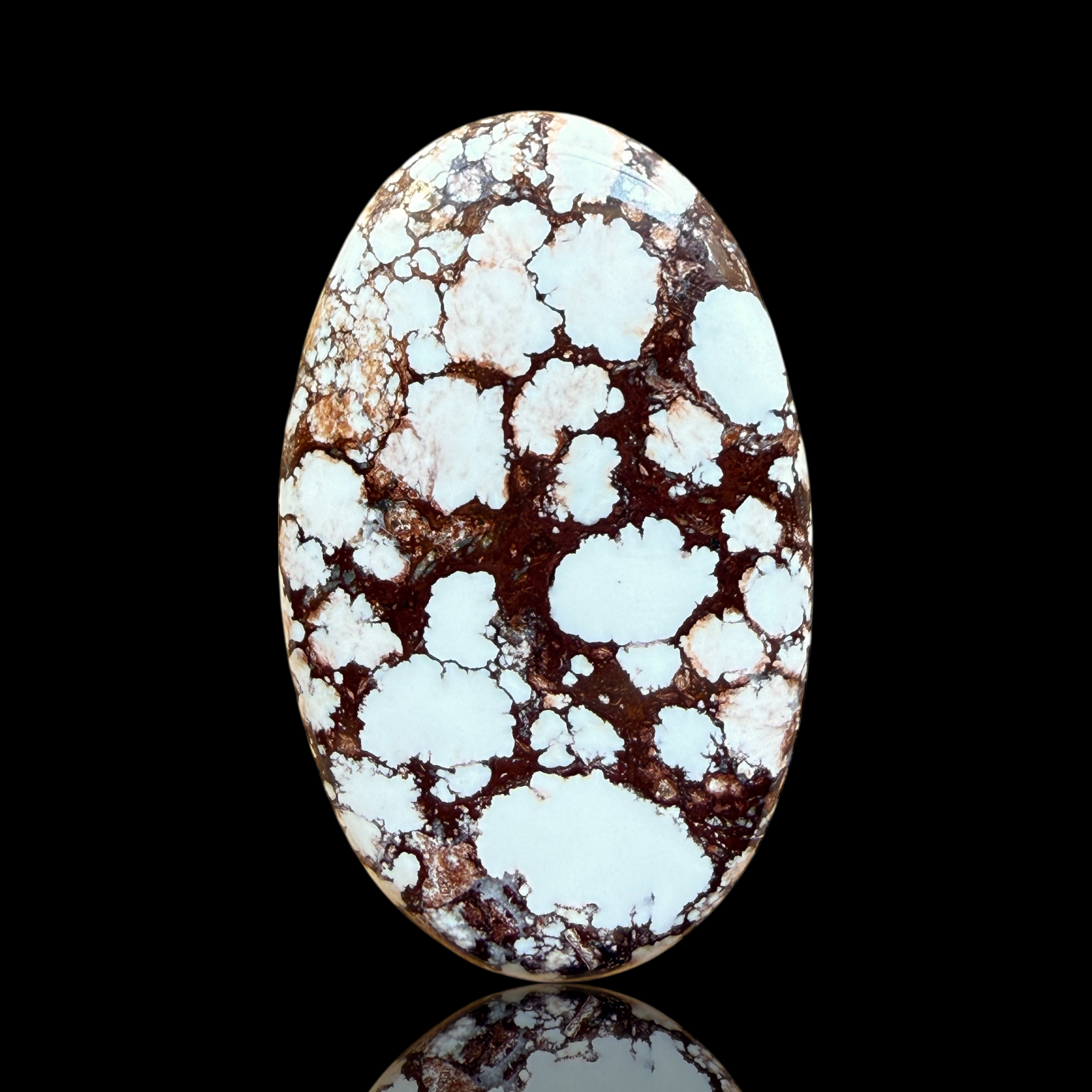 Cabochon Magnesite Wild Horse
