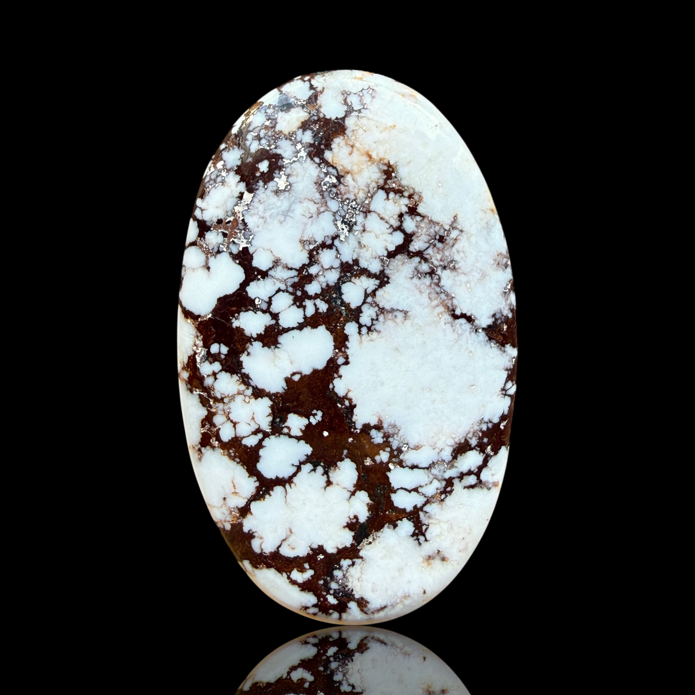 Cabochon Magnesite Wild Horse