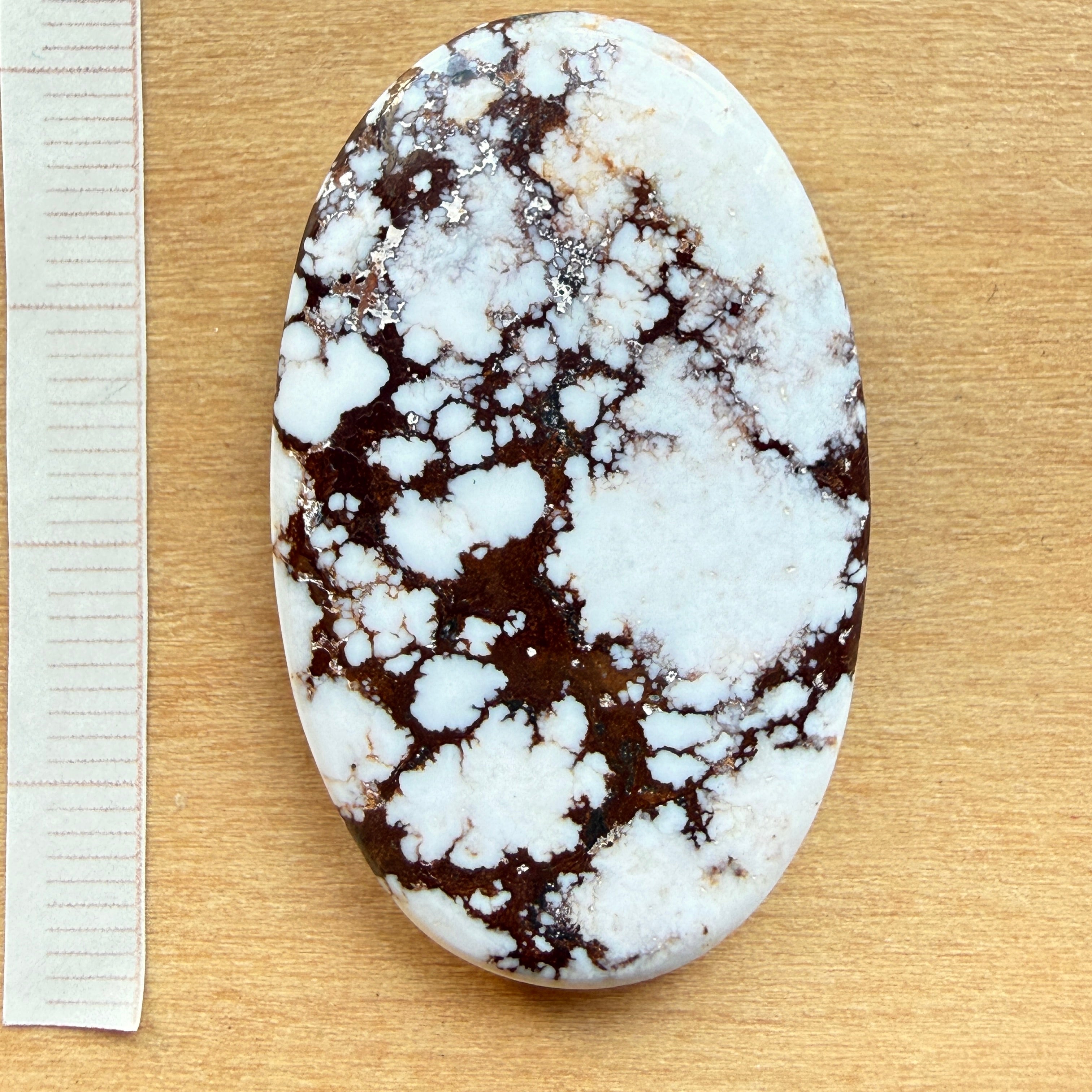 Cabochon Magnesite Wild Horse