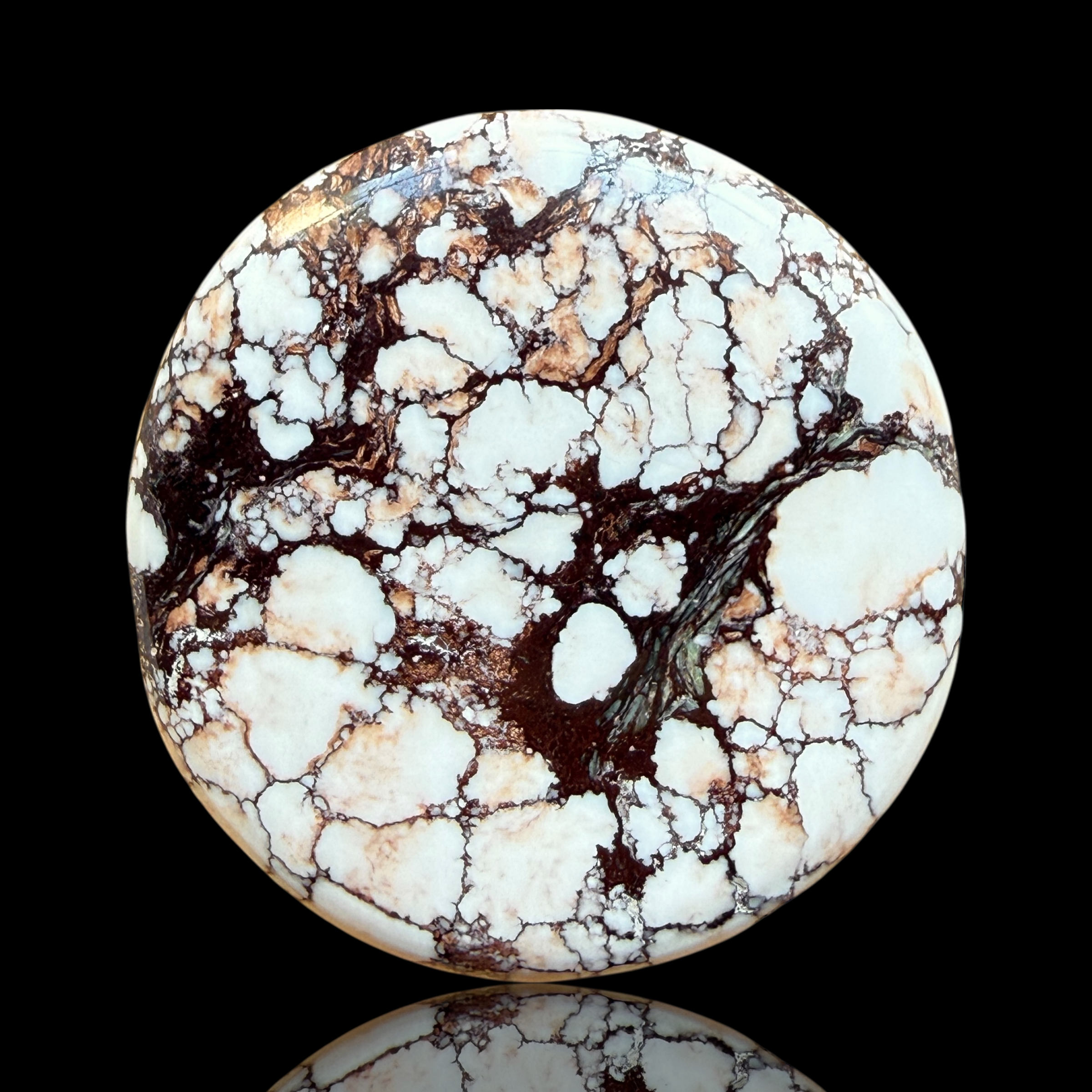 Cabochon Magnesite Wild Horse