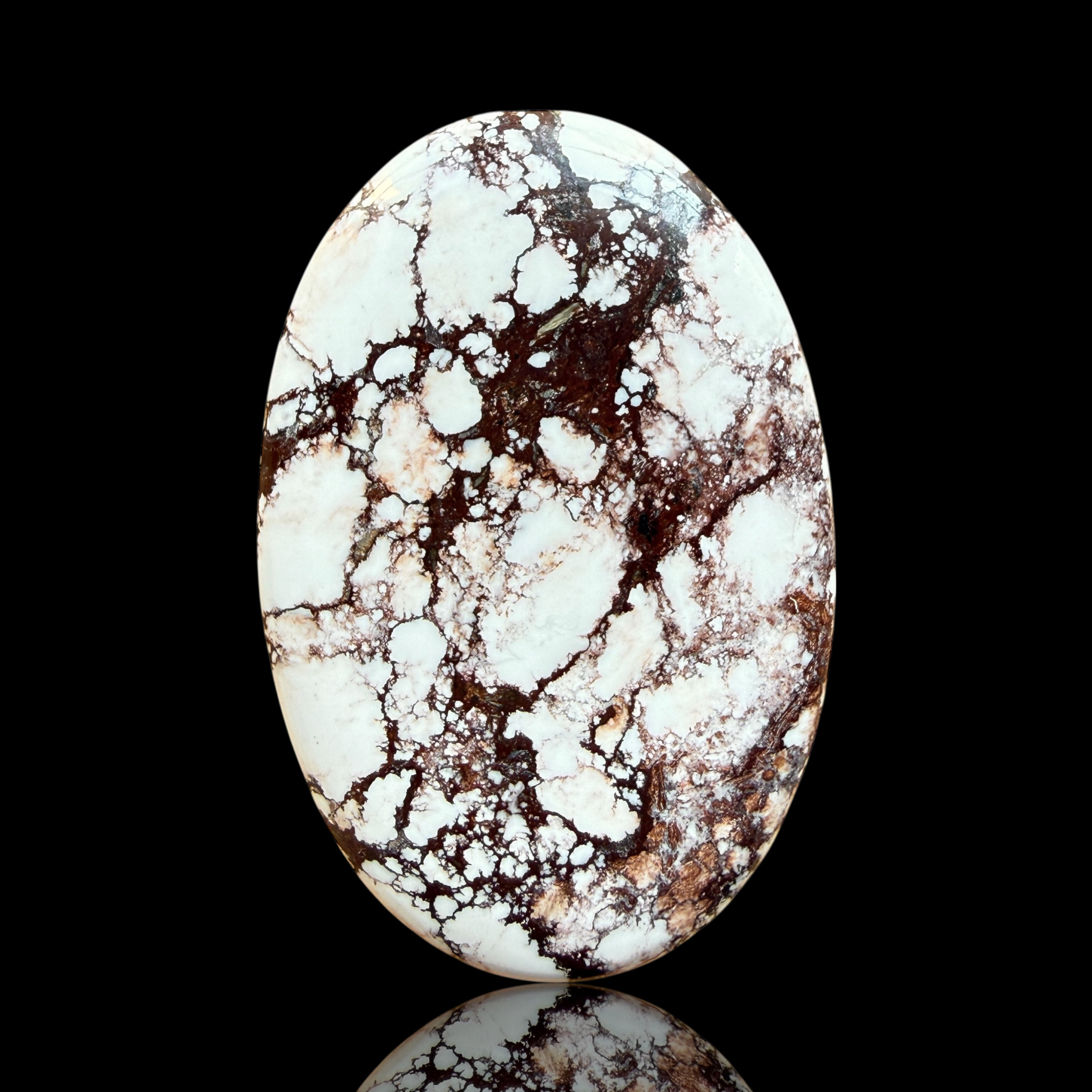 Cabochon Magnesite Wild Horse