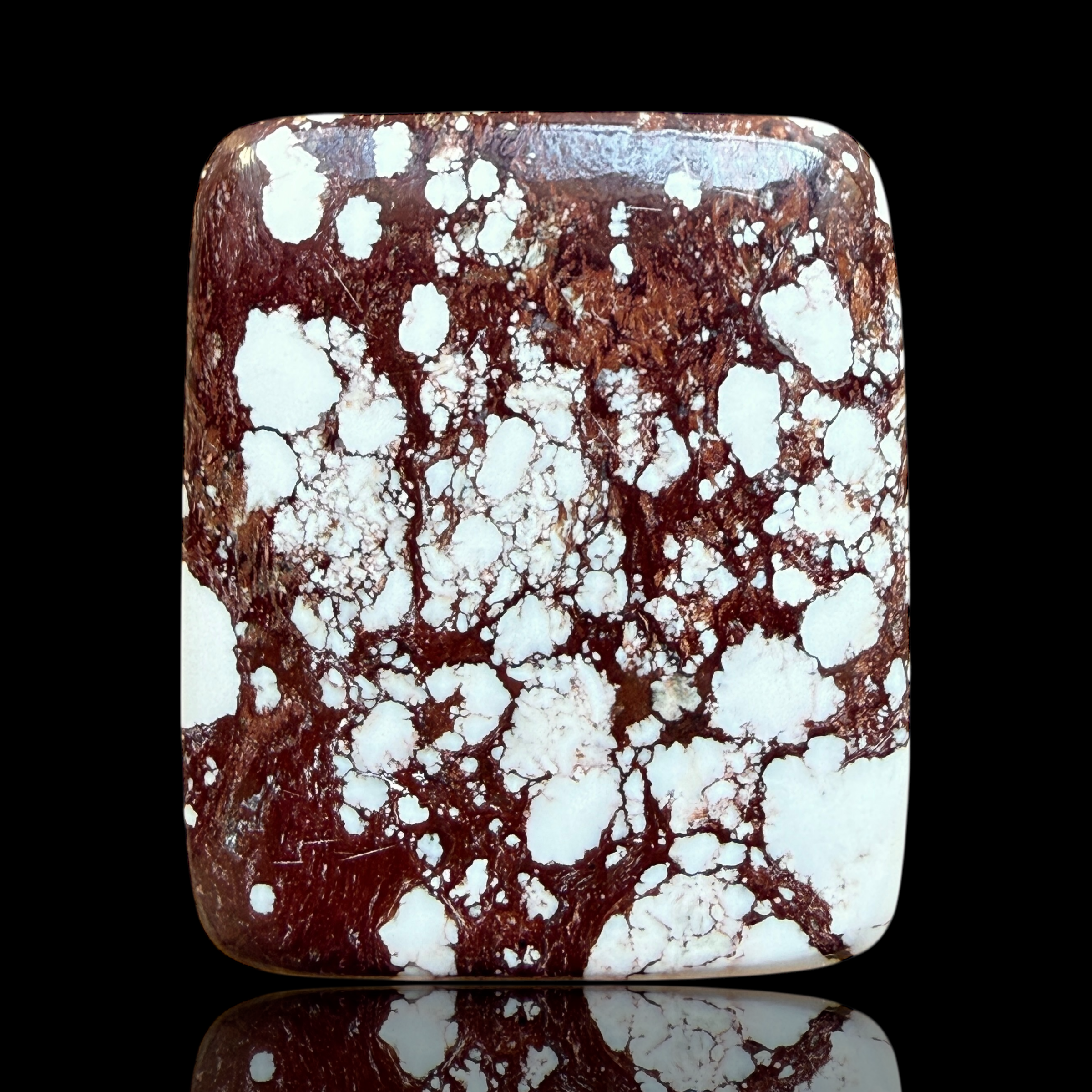 Cabochon Magnesite Wild Horse