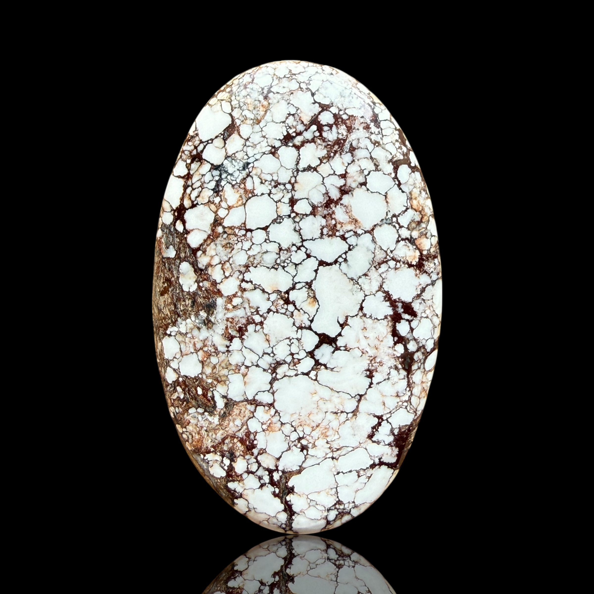 Cabochon Magnesite Wild Horse