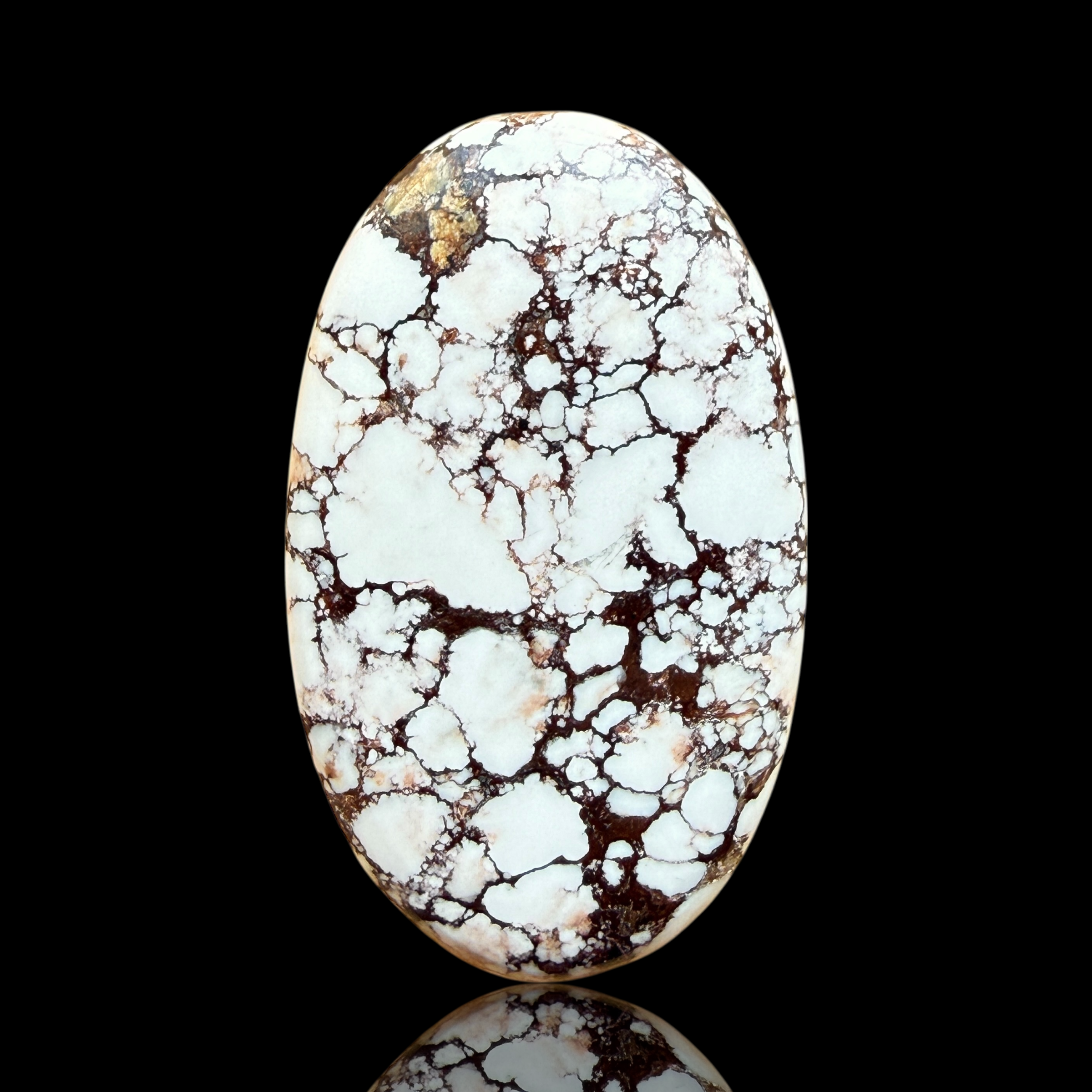 Cabochon Magnesite Wild Horse