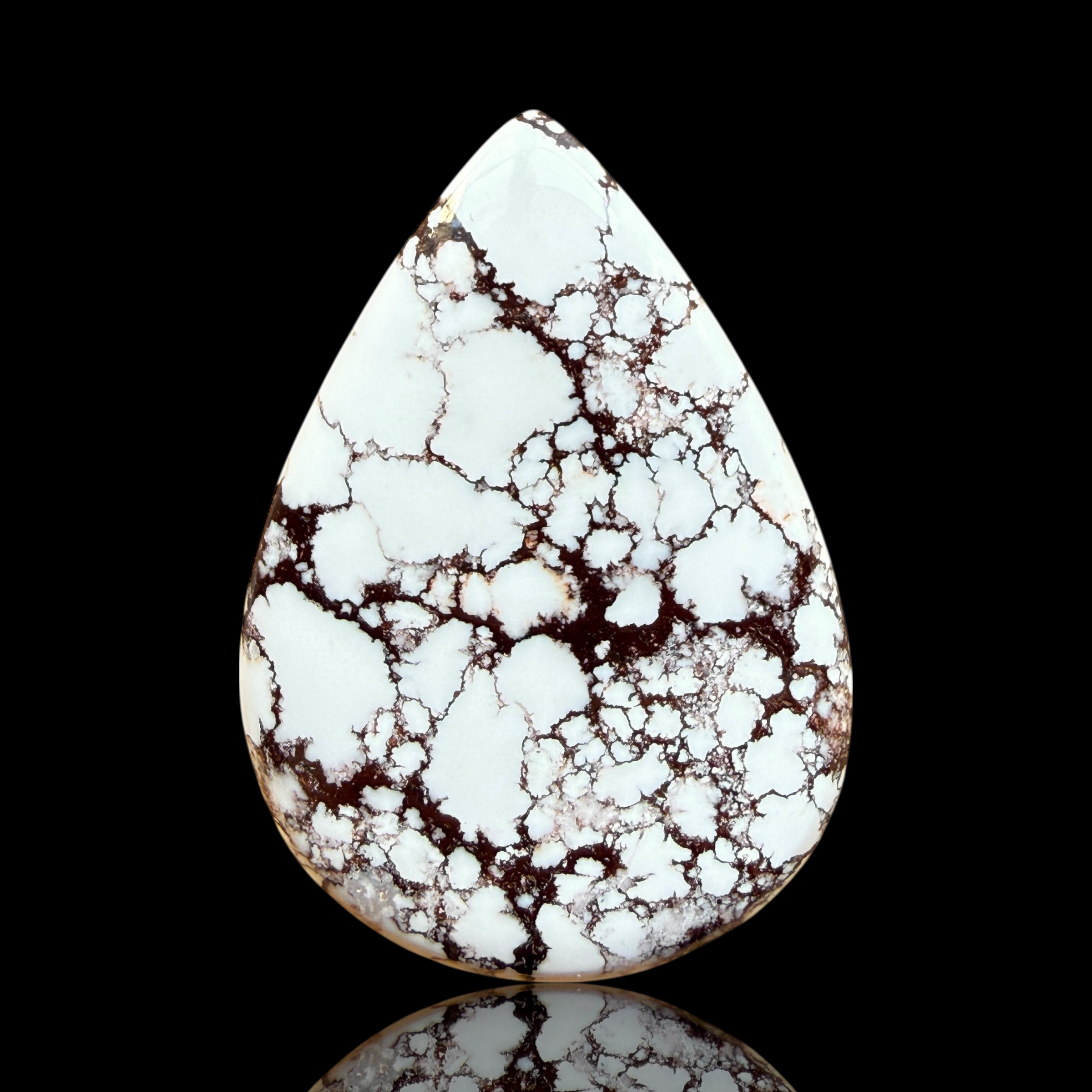 Cabochon Magnesite Wild Horse
