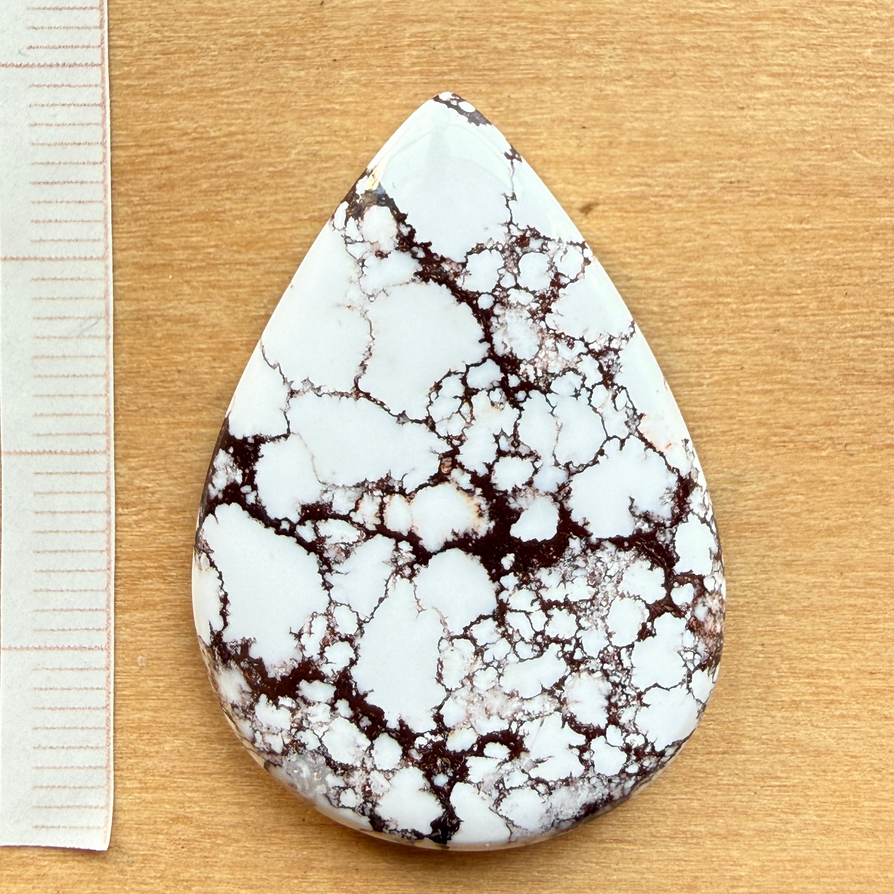 Cabochon Magnesite Wild Horse