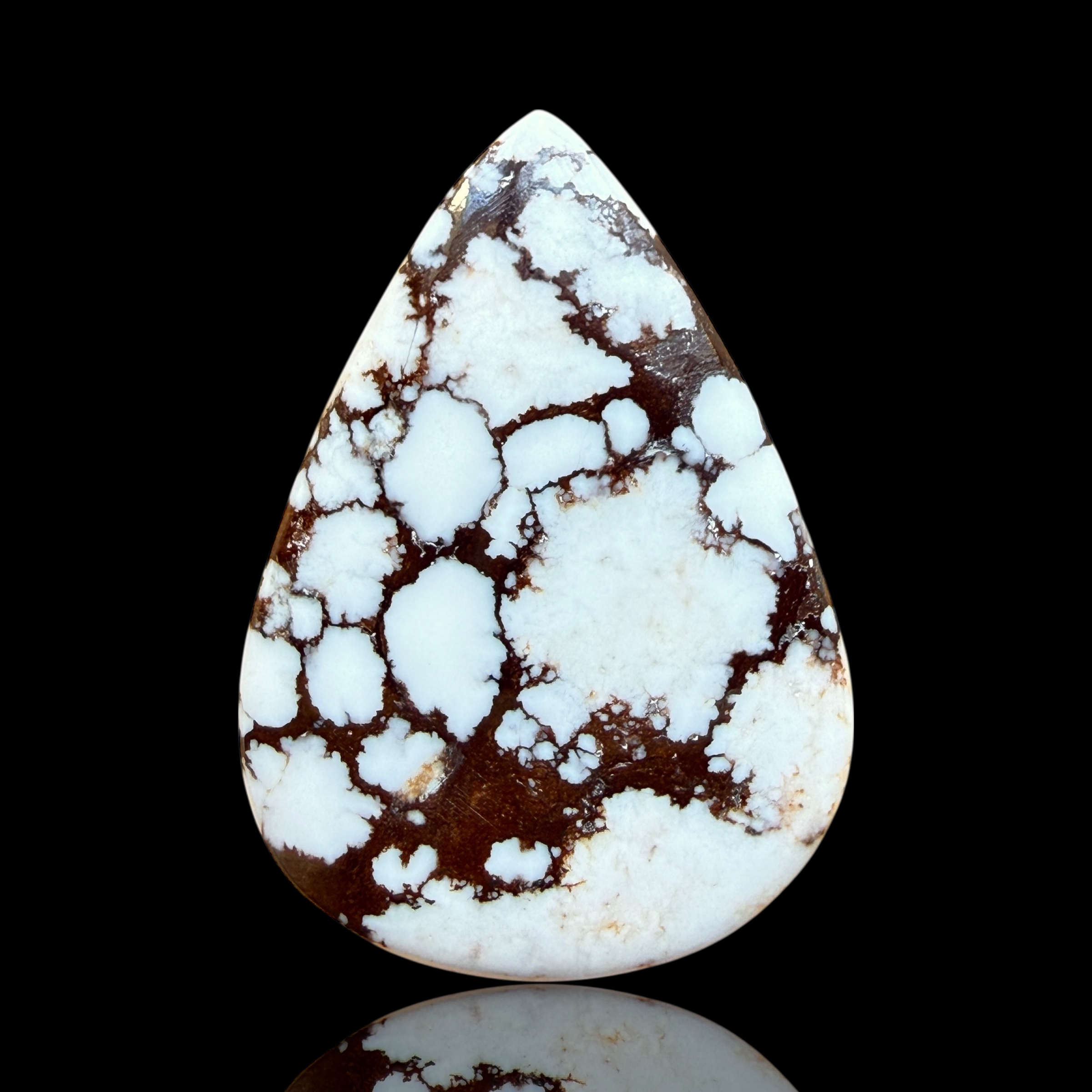 Cabochon Magnesite Wild Horse