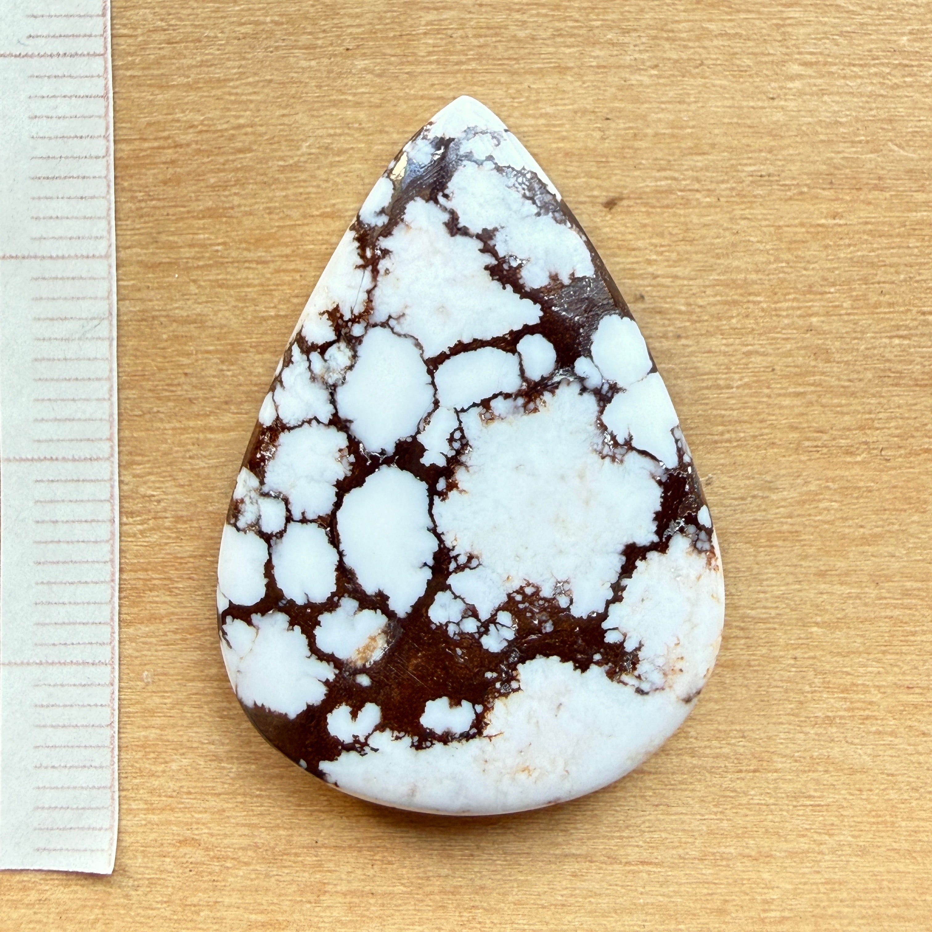 Cabochon Magnesite Wild Horse